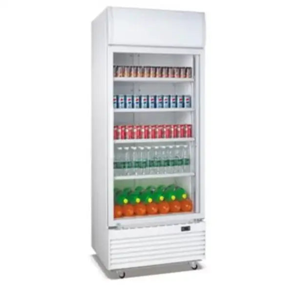 Nasco Refroidisseur 523 Litres NAS-650-1DR