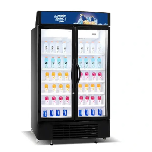Nasco Refroidisseur Vertical Deux Portes 1000 L Net NAS-CH1250-2DR