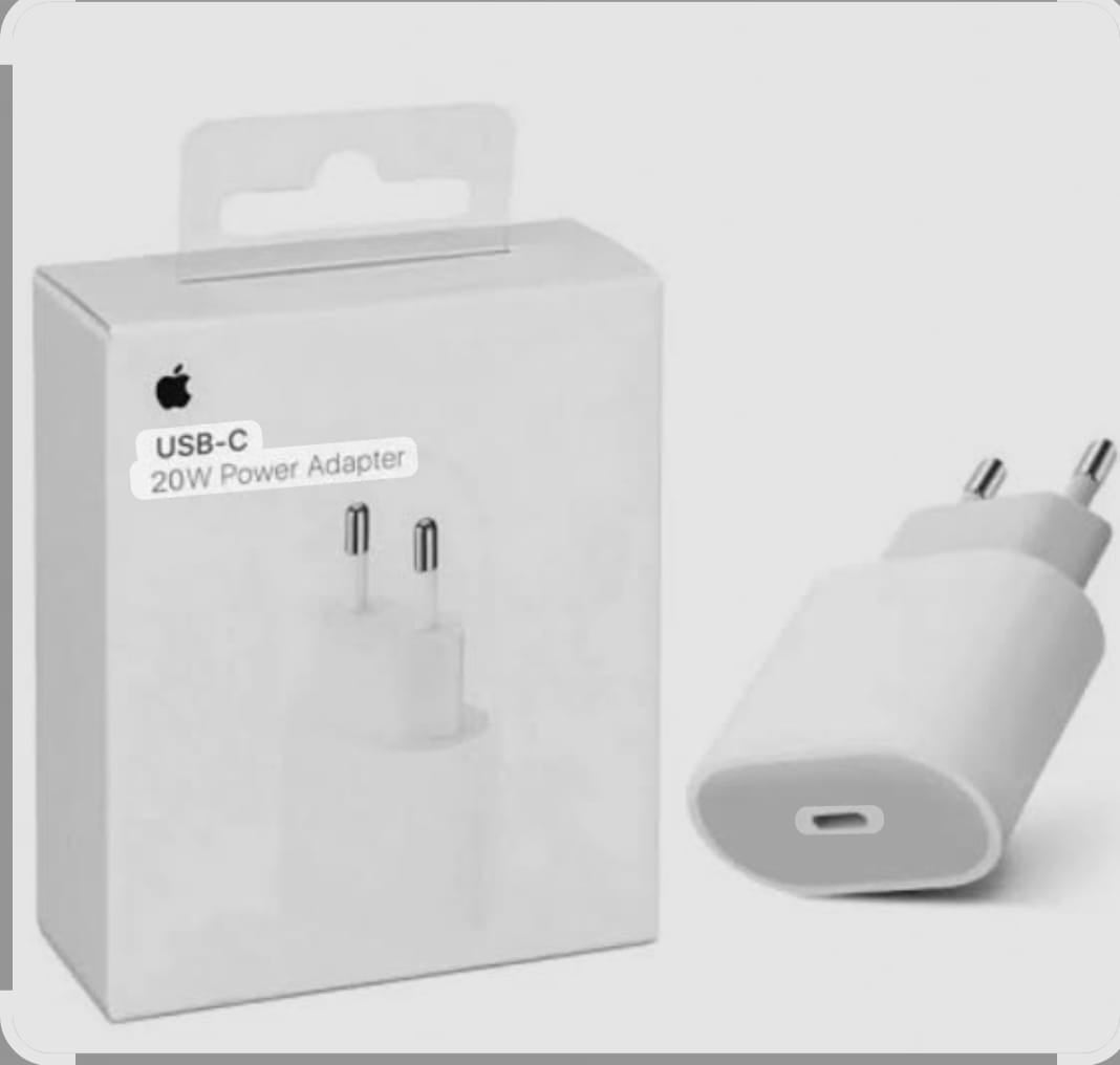 BOITIER USB-C 20W BLANC