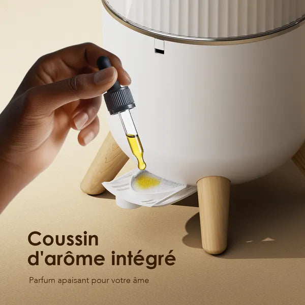 Humidificateur 6L design moderne Oraimo OHM-502A