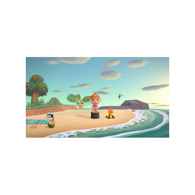 Nintendo Switch Animal Crossing : New Horizon